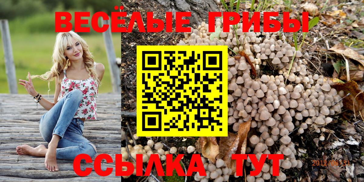 Галлюциногенные грибы Magic Shrooms Мелеуз