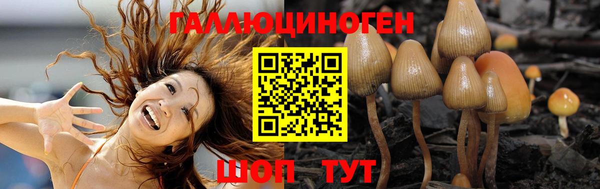 Мелеуз  Галлюциногенные грибы мухоморы  Вход с VPN 